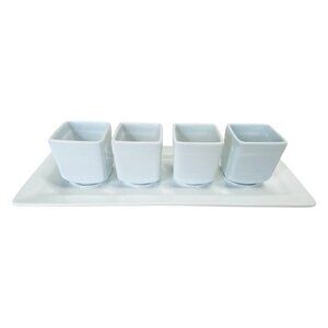 Pier 1 Imports Tasting Party Tray & Porcelain Cups Bowls Sampler 5PC Party Event